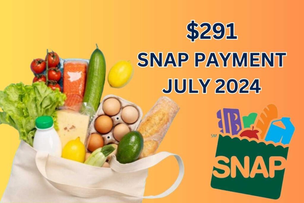 $291 SNAP Payment July 2024