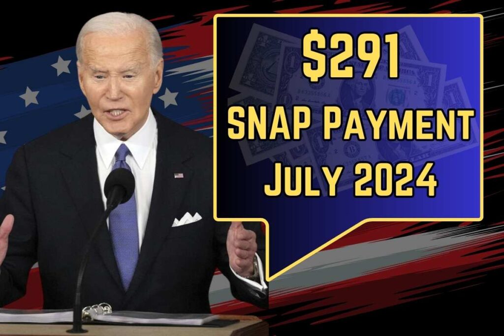 $291 SNAP Payment July 2024